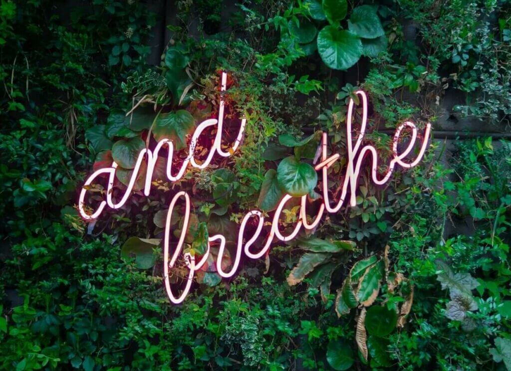 Breathe in Gratitude | Katharine Chestnut