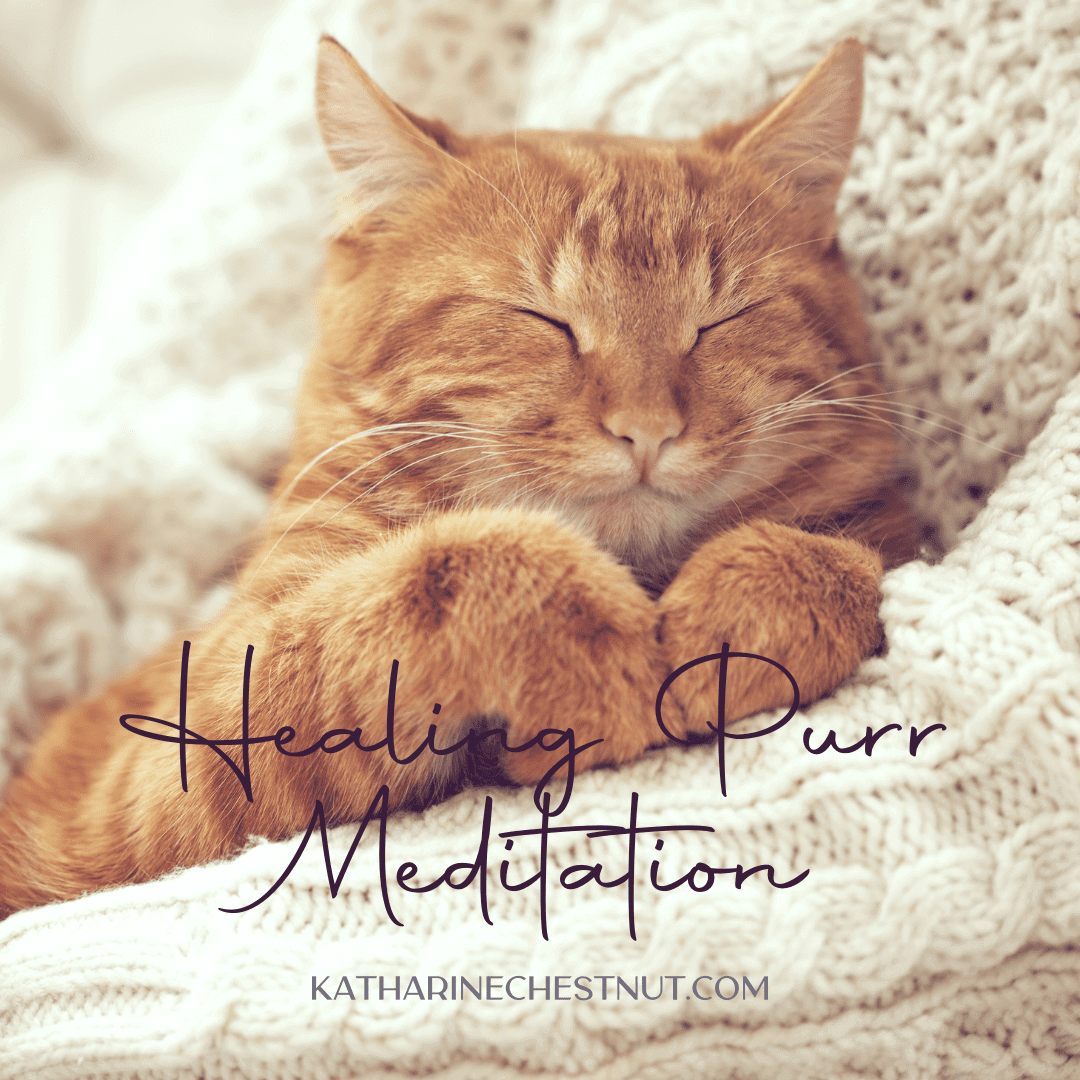 Katharine Chestnut Healing Purr Meditation