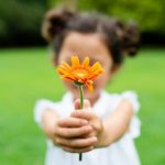 Grateful for Growth | Katharine A Chestnut