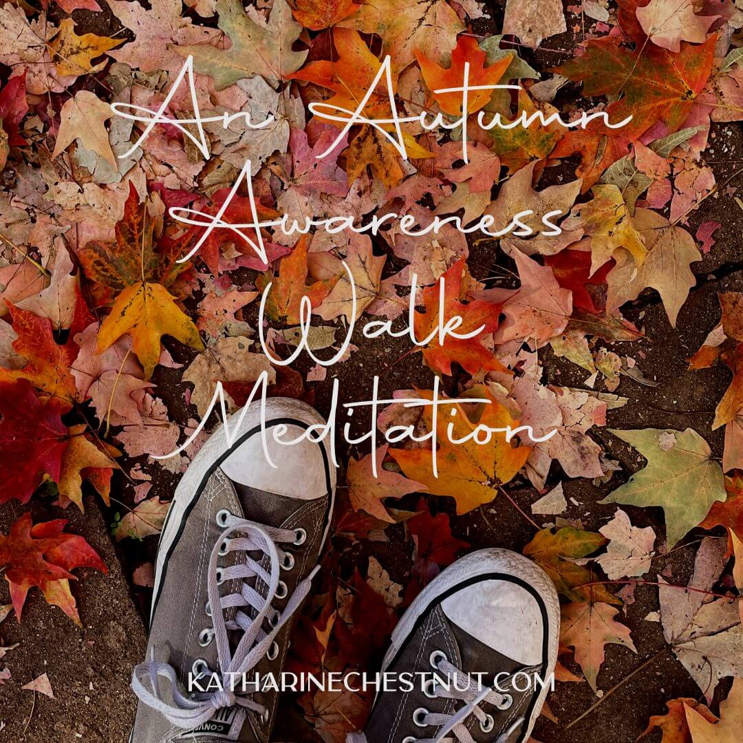 Fall Autumn Awareness Walk Meditation | Katharine Chestnut