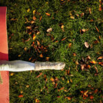 Fall Mindfulness | Katharine Chestnut