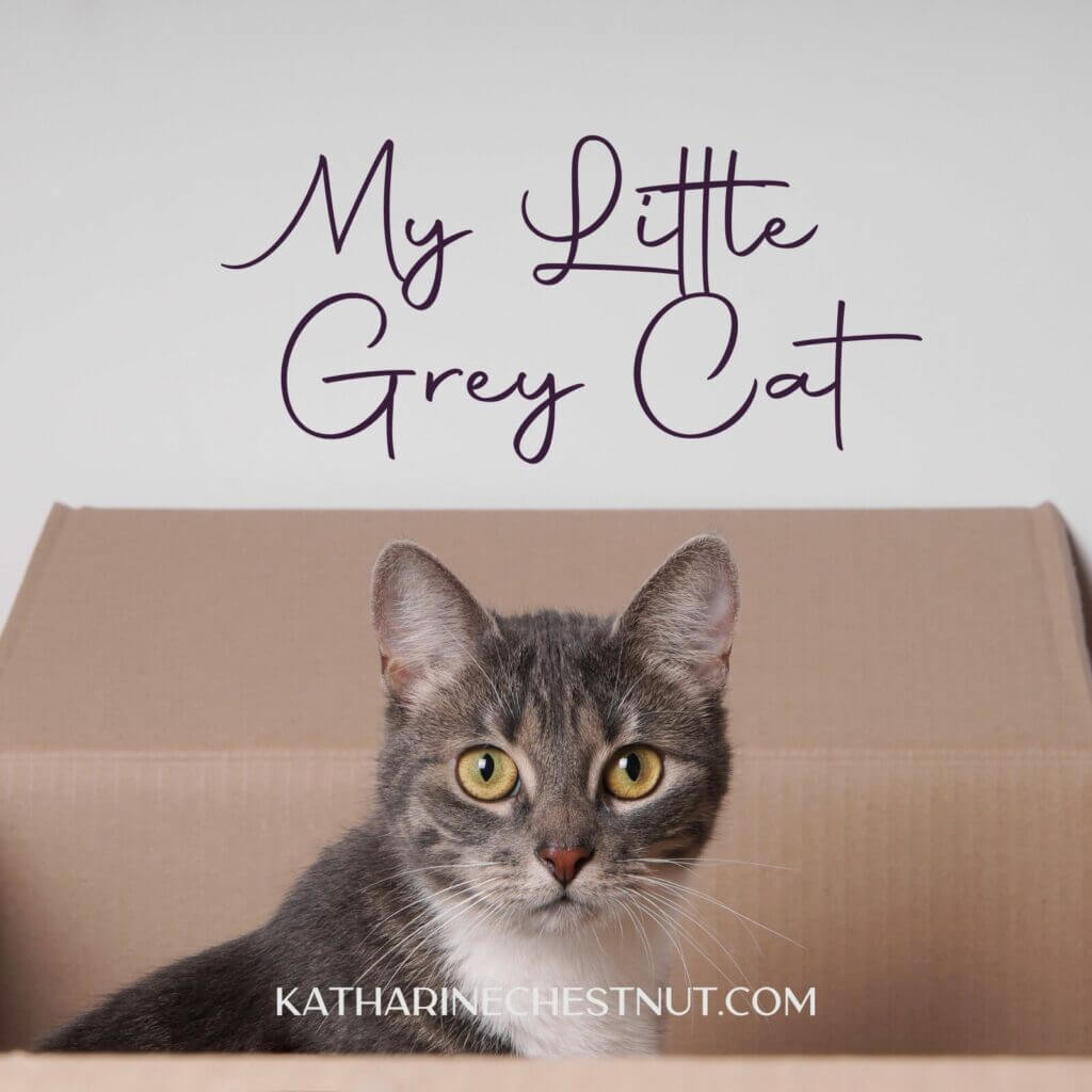My Little Grey Cat Sleep Meditation | Katharine Chestnut