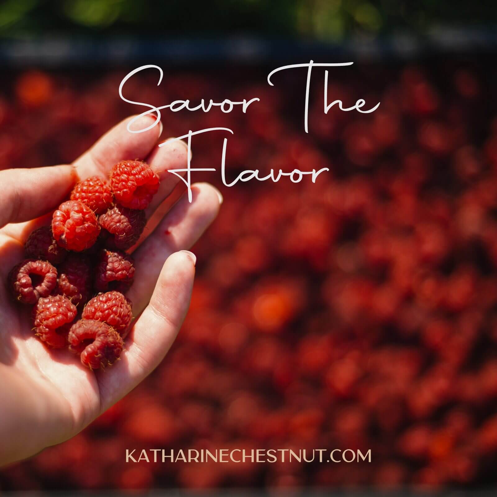 Savor The Flavor Meditation | Katharine Chestnut