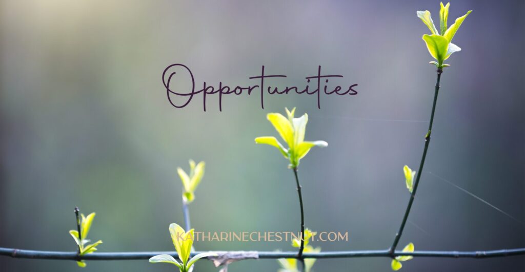 Accept Opportunities For Growth