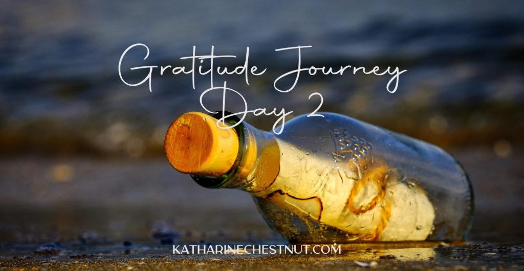 Gratitude Journey Challenge - Day 2
