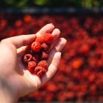 Mindful Eating | Katharine Chestnut
