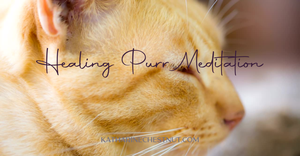 Healing Purr Meditation