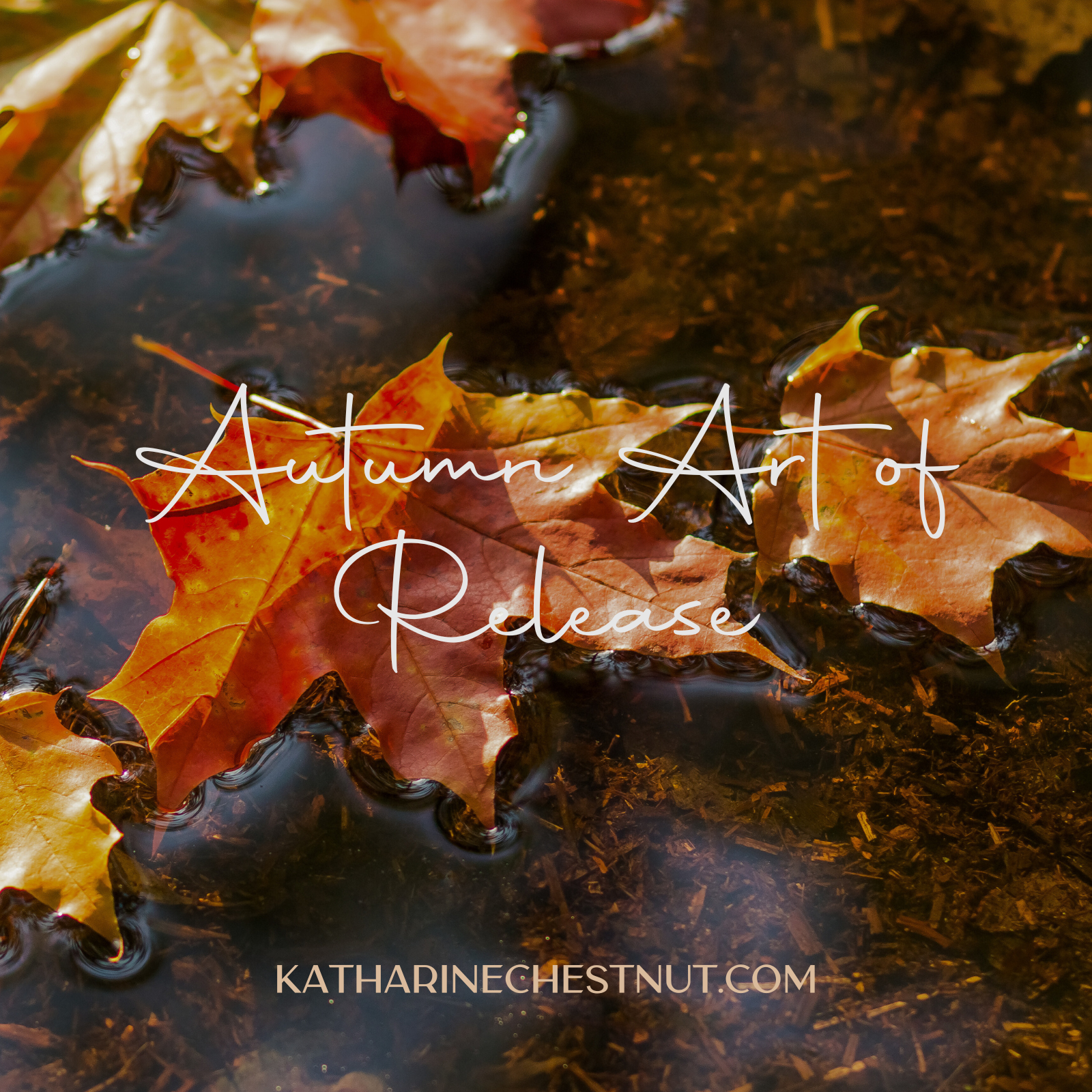 Autumn Art of Release Meditation | Katharine Chestnut