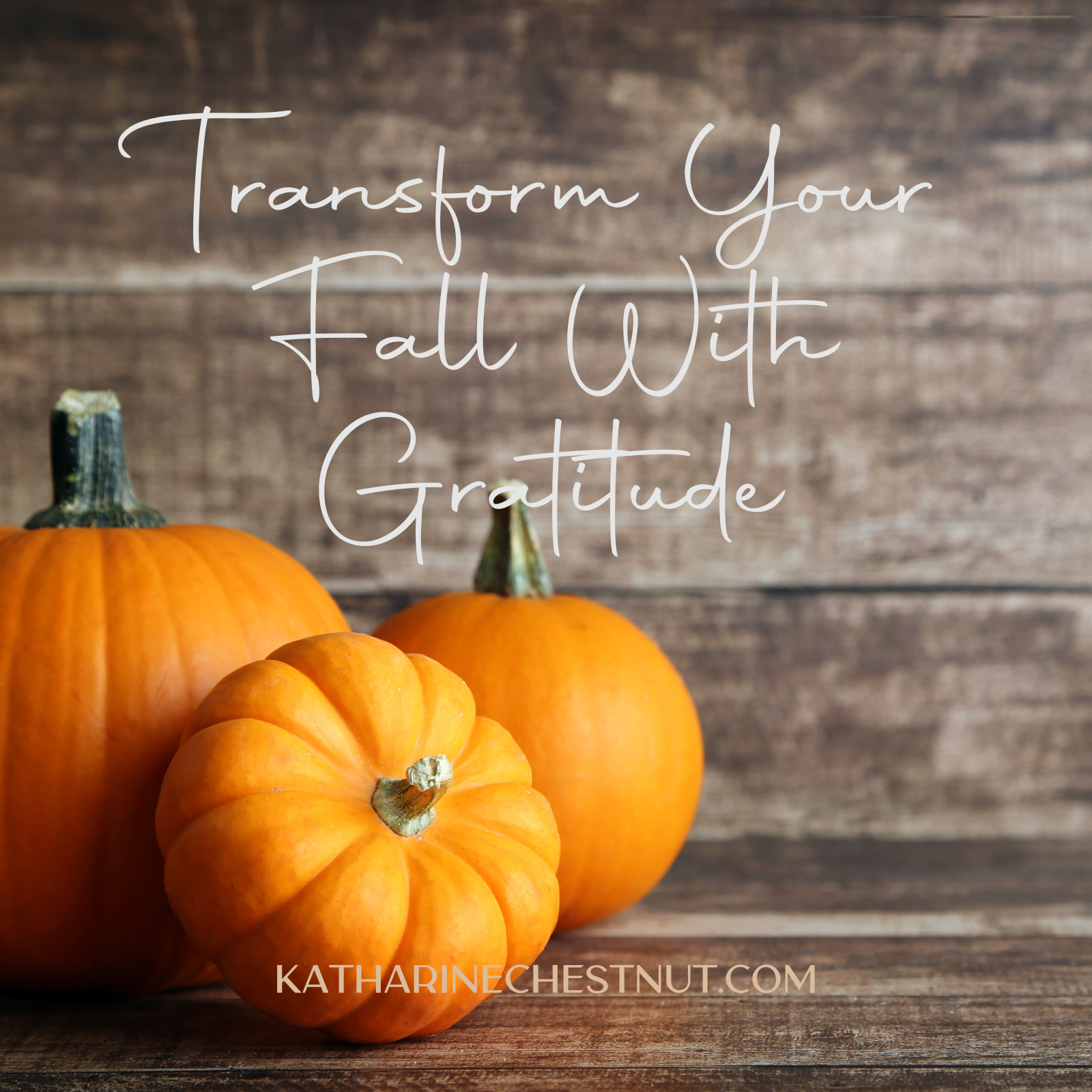 Transform Your Fall with Gratitude | Katharine Chestnut